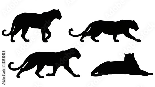 Black Leopard Silhouette Vector Showing Standing Crawling Sprinting and Resting Poses