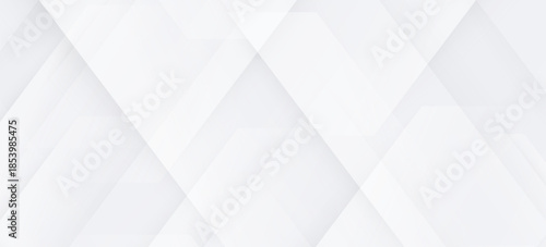 Amazing premium background. Elegant gray white diagonal lines with smooth soft shadow. Light silver grey gradient. Geometric modern stripe design