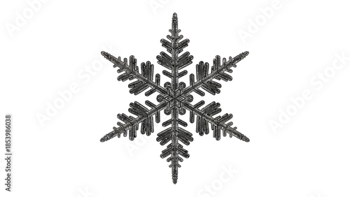 Detailed macro view of a single snowflake on a white background