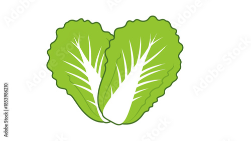 Two green lettuce leaves forming a heart shape.