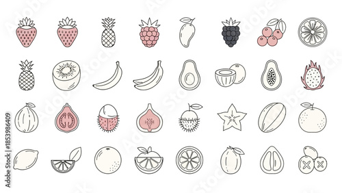 A collection of hand-drawn fruit icons