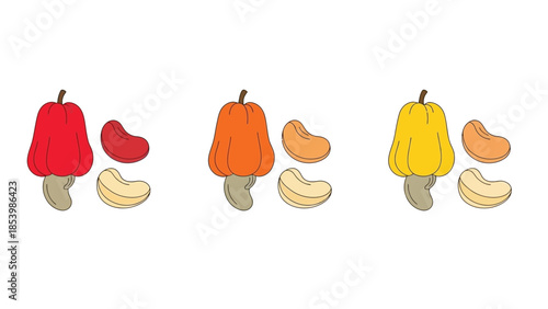 Colorful cashew fruits and nuts illustration on white background