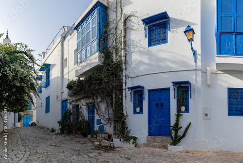 Sidi Bou Said Streets