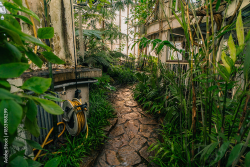 Conservatory and Botanical Garden of the city of Geneva is a museum and an institution in Geneva city in Switzerland