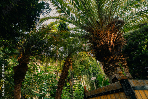 Conservatory and Botanical Garden of the city of Geneva is a museum and an institution in Geneva city in Switzerland