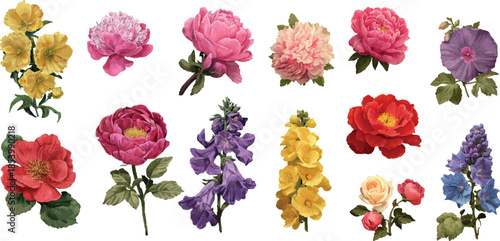 set of colorful flower