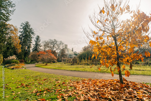 Conservatory and Botanical Garden of the city of Geneva is a museum and an institution in Geneva city in Switzerland