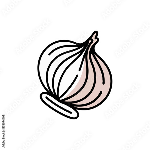 Illustration of a garlic bulb Vector on white background