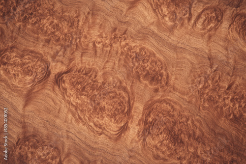 Burl wood veneer texture swirling grain intricate pattern natural brown color organic surface decorative abstract unique elegant smooth finish suitable for furniture design