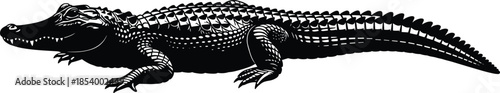 Black silhouette of powerful alligator standing, large crocodile predatory reptile animal, wild swamp creature isolated on white background, nature vector illustration