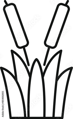 Cattail plants growing vector line drawing icon