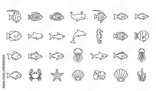 Fish and aquatic life thin line vector icon set for web and infographic design