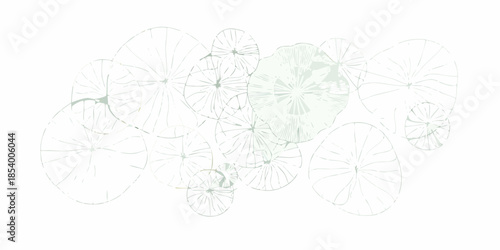 Delicate outline of lily pads and water foliage in soft green tones