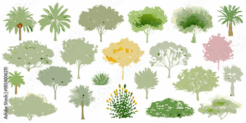 A collection of watercolor style trees and lush tropical foliage