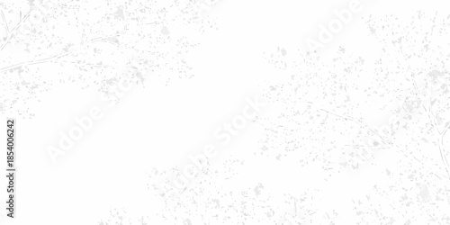 A stark white textured background with subtle grain and minimal visible detail