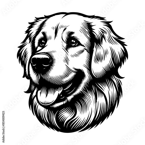 Golden retriever dog head black and white illustration