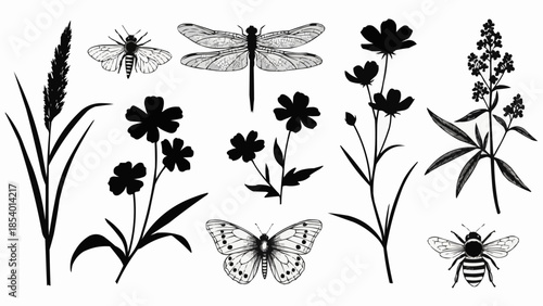 Black and White Insects and Flowers Illustration.