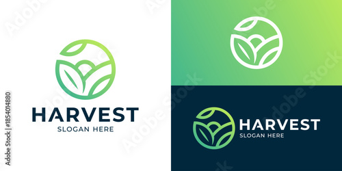 Simple modern harvest logo template. Organic farm logo design vector illustration.