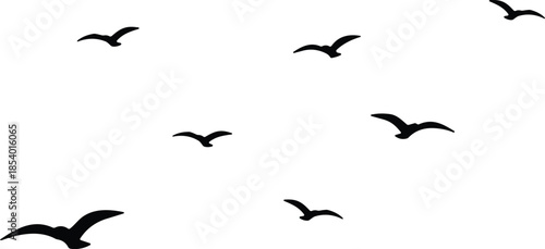 Bird silhouettes, flying flock, freedom concept, minimalist design, nature, wildlife, migration, sky, wings, flight, animals, outdoors, environment, scenery, horizon, peaceful, abstract,