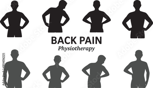 Effective Physiotherapy Movements for Alleviating Chronic Back Pain