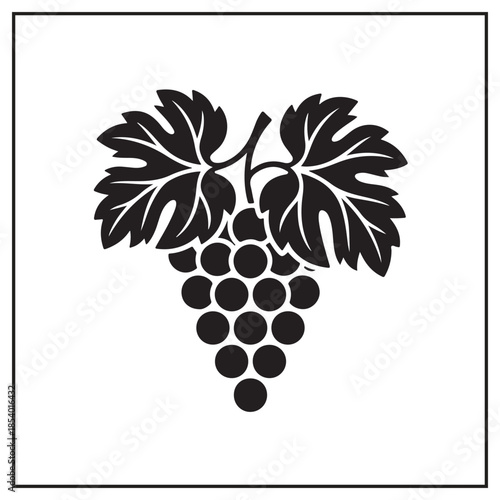 Elegant Wine & Harvest Collection