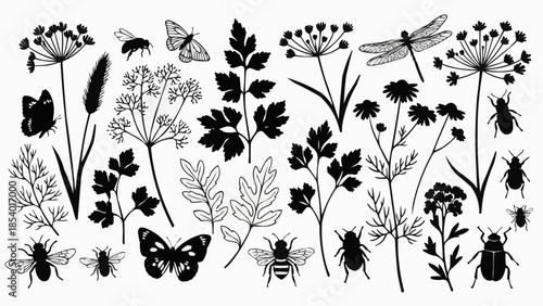 Black and White Insects and Flowers Illustration.