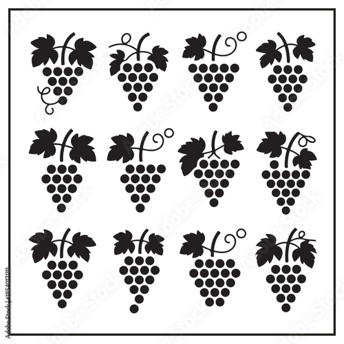 Elegant Wine & Harvest Collection