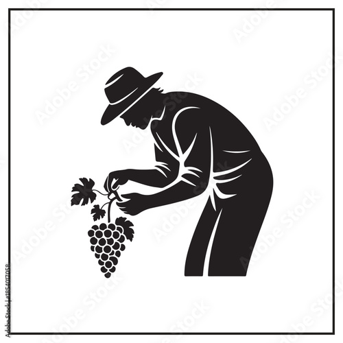 Elegant Wine & Harvest Collection