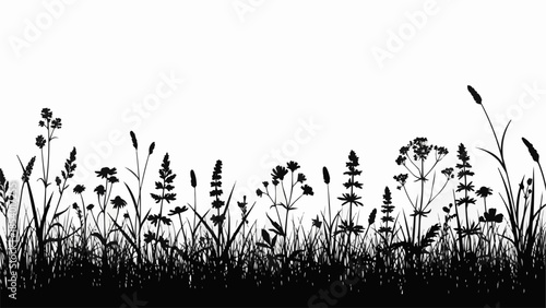 Silhouette of tall grass and wildflowers.