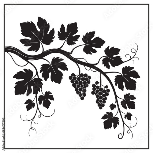 Elegant Wine & Harvest Collection