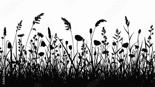 Silhouette of Various Wild Plants and Grasses.