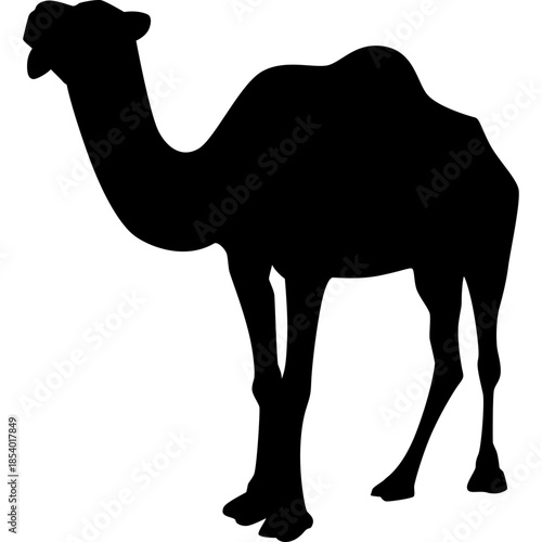 Silhouette Camel Illustration