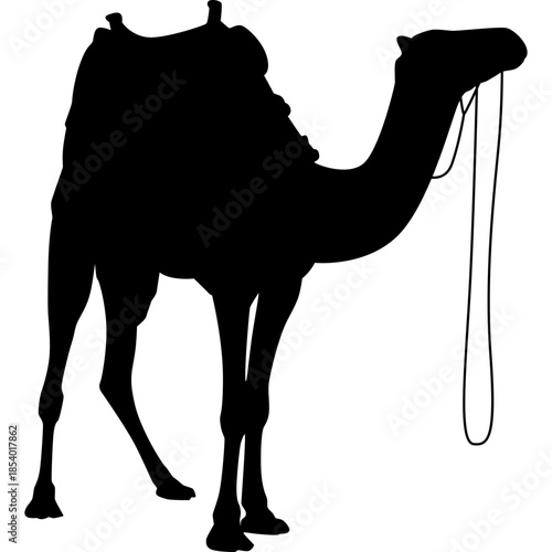 Silhouette Camel Illustration
