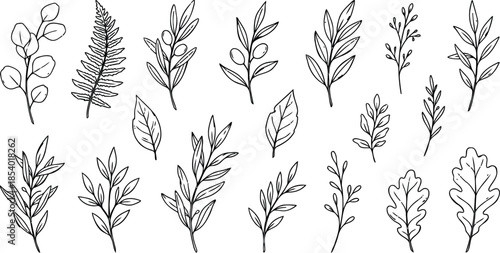 Hand drawn leaves and branches for design and decoration