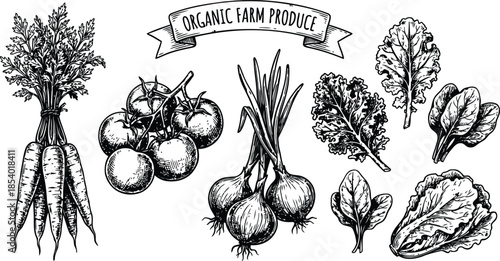 Fresh organic farm produce including carrots, tomatoes, onions, and leafy greens