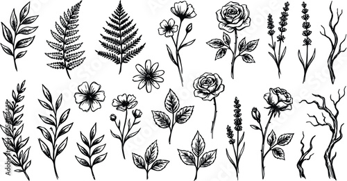 Elegant floral illustrations for design and decoration projects