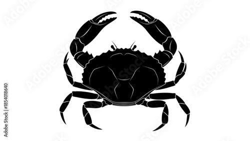 Black Crab Silhouette Vector Showing Top View Side Walk Claws Up and Defensive Poses