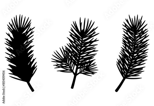 Set of three pine tree branch black silhouettes for winter design