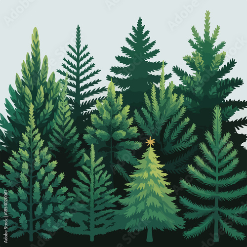 Adobe Illustrator Artwork