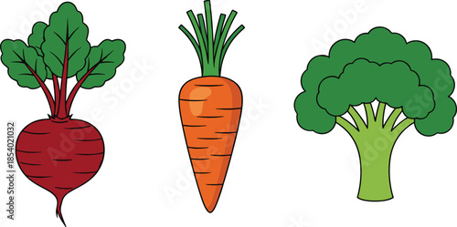 Colorful flat vector illustration set featuring garden fresh beet carrot and broccoli vegetables for healthy food icon design