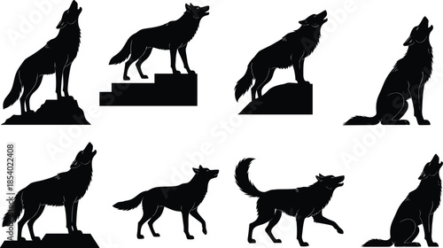 Wild wolf silhouette set with animals howling at the moon and standing on rocks for wilderness nature design