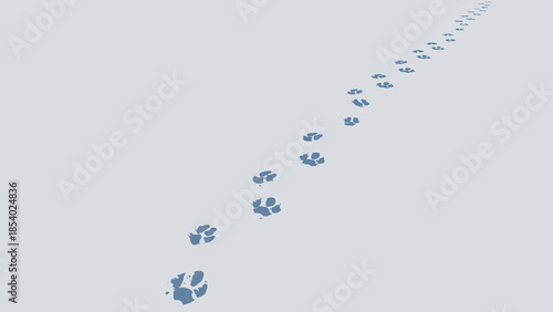 A trail of animal paw prints disappearing into the distant horizon.