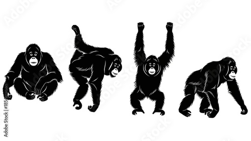 Black Orangutan Silhouette Vector Showing Sitting Climbing Hanging Arms and Walking Poses
