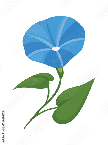 Morning glory Flower. Flat vector clipart, illustration with isolated background.