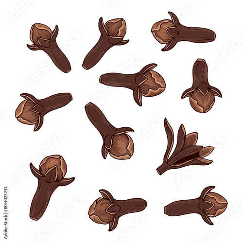 Vector illustration of dried cloves isolated on white background