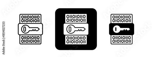 Encryption  Solid color and black line drawing vector illustration set