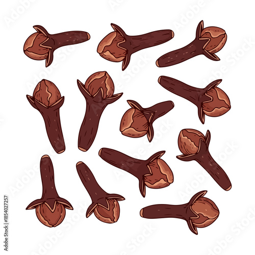 Vector illustration of dried cloves isolated on white background