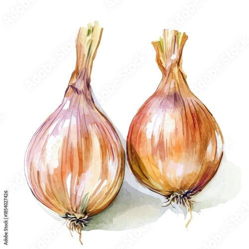 Watercolor design, with minimal yet artistic elements for creative designs. hand-drawn paint, A beautiful painting of shallot set, EPS format, isolated on a white background