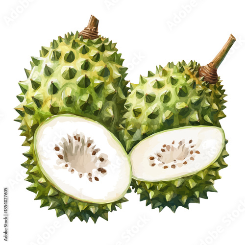 Watercolor design, with minimal yet artistic elements for creative designs. hand-drawn paint, A beautiful painting of soursop_fruit set, EPS format, isolated on a white background