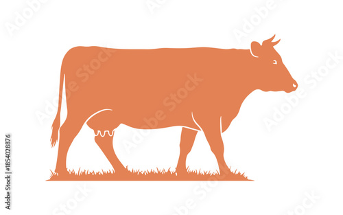 An isolated farm cow depicted on a white background. Vector illustration

